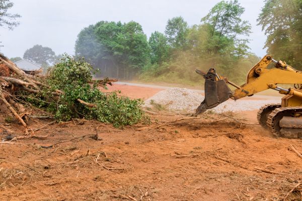 Ground Clearing in Port Orchard