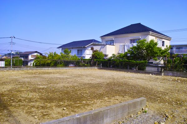 Cost of Lot Clearing Service in Port Orchard