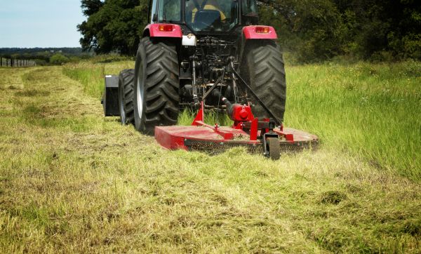 Brush Clearing Service in Port Orchard