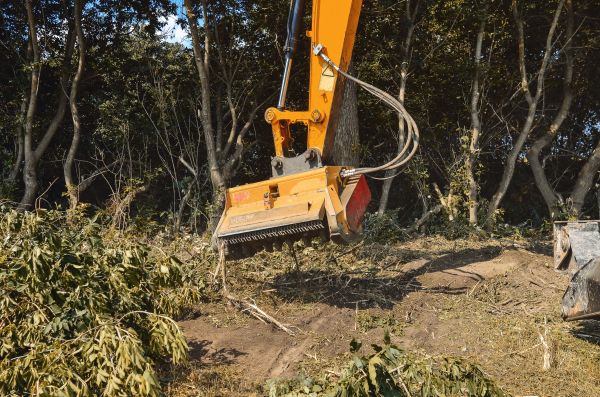 Brush Removal Service in Port Orchard