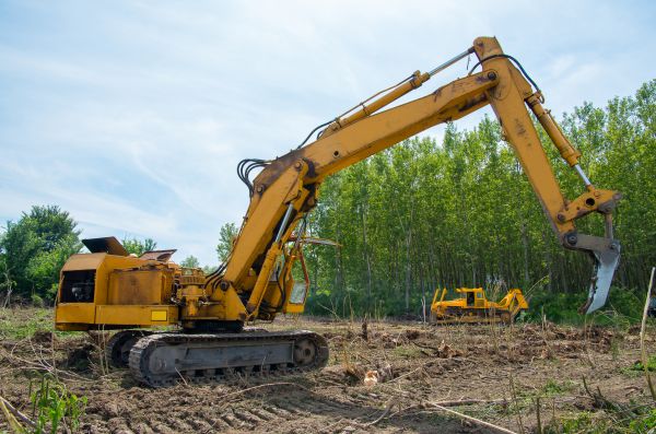 Cost of Farm Clearing in Port Orchard