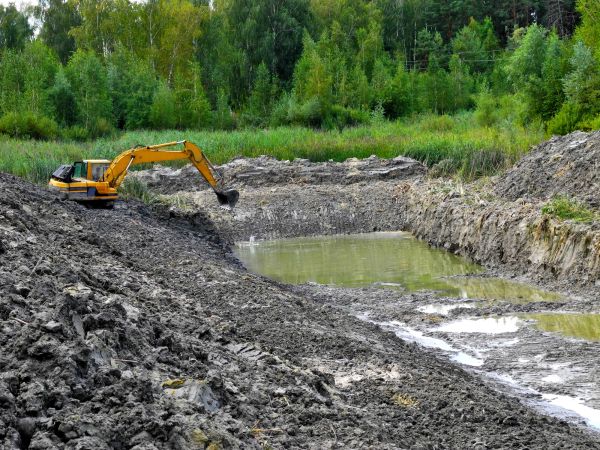 Cost of Lake Lot Clearing in Port Orchard