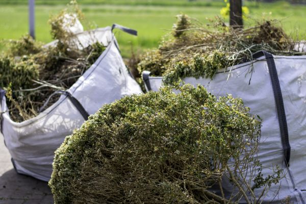 Cost of Bushes Clearing in Port Orchard