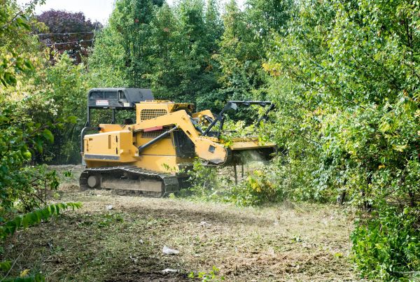 Cost of Pathway Clearing in Port Orchard