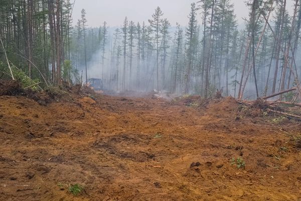 Cost of Hill Clearing in Port Orchard