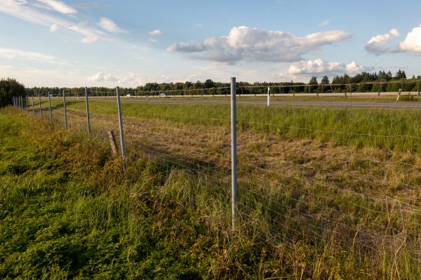Cost of Property Line Clearing in Port Orchard