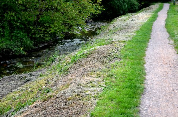 Cost of Trail Cutting in Port Orchard