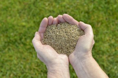 Commercial Land Preparation