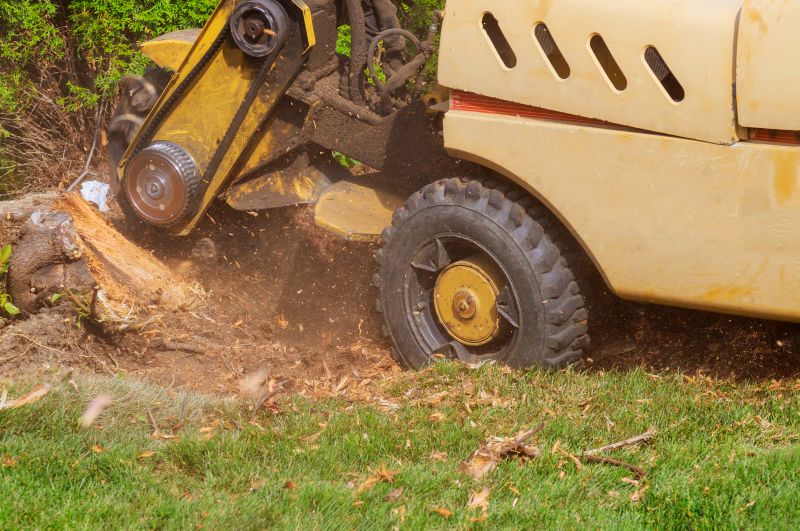 Stump Grinding Process