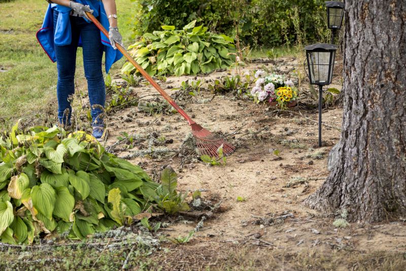 Summer Clearing Operations