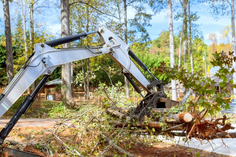 Whatâ€™s Involved In Professional Land Clearing?