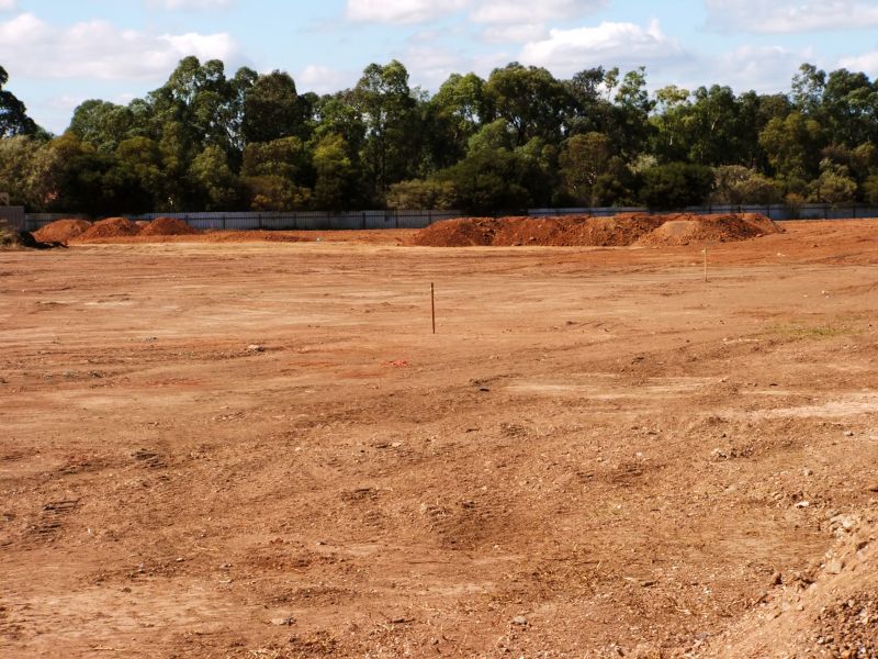 Environmental Considerations